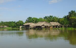 Datos no publicados muestran que los 9 países amazónicos han perdido 1 millón de hectáreas de agua superficial en la última década